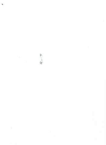 Tema-3-III.pdf