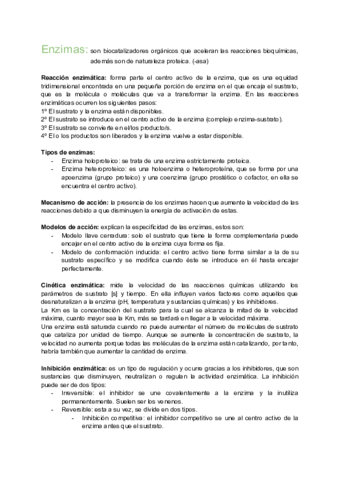 Enzimas-2.pdf
