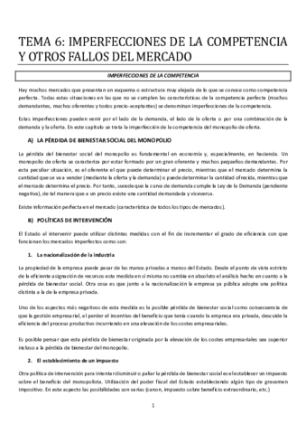 TEMA-6-HP.pdf