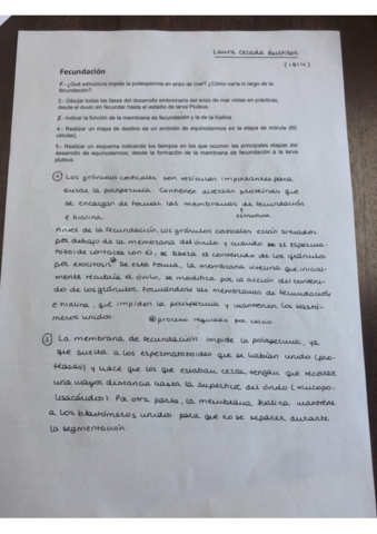 practica-equinodermos.pdf