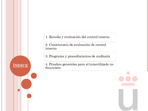 Temas-Resumidos-67.pdf