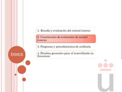 Temas-Resumidos-71.pdf