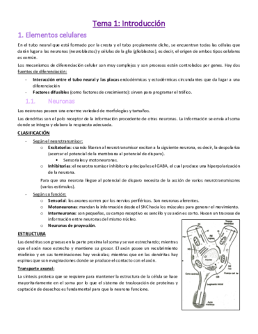 Tema-1-Introduccion.pdf