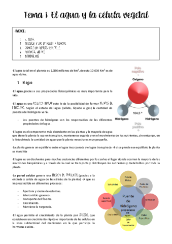 Tema-1-fisio-vegetal.pdf