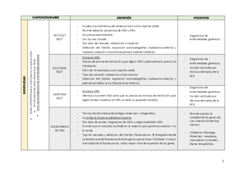 TABLA-RESUMEN-TECNICAS-DE-HIBRIDACION.pdf