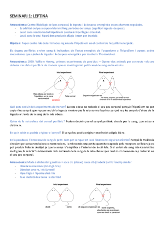 Seminaris.pdf