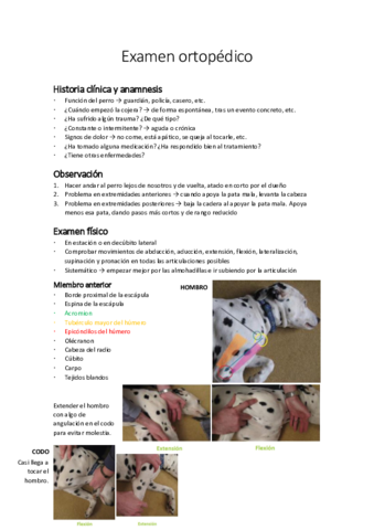 Practica-pequenos-animales-3.pdf