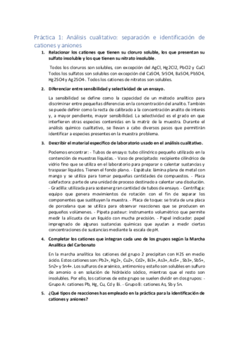 Laboratorio-fundamentos-cuestiones.pdf