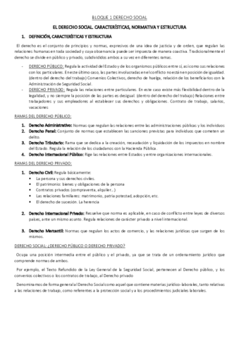 BLOQUE-1-DERECHO-SOCIAL.pdf