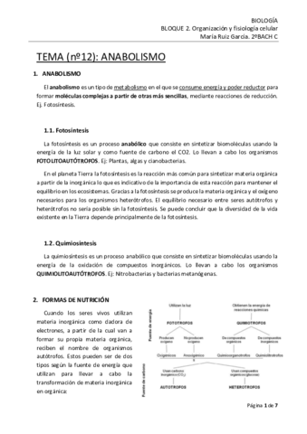 Tema-12.pdf