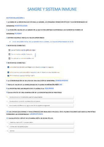 autoevaluaciones-II-.pdf