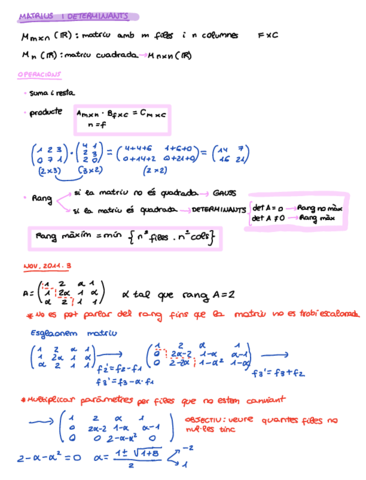 Matrices.pdf