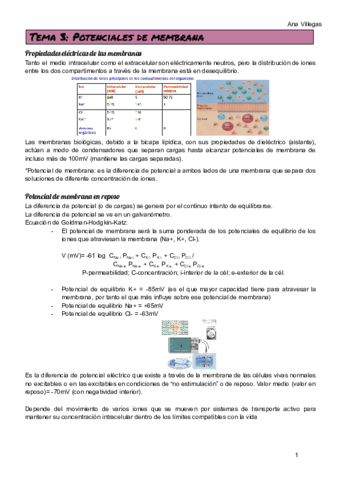 TEMA-3.pdf