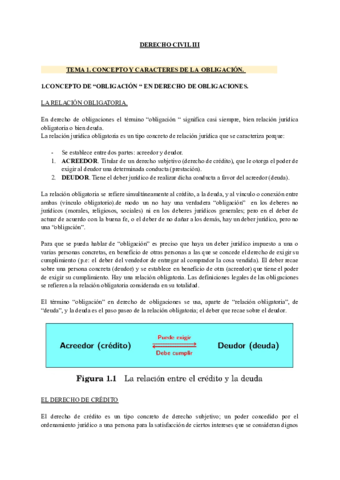 Civil-III-Tema-1.pdf