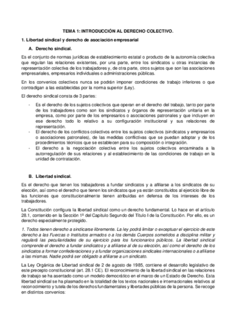 DERECHO-COLECTIVO-COMPLETO.pdf