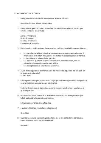 parciales-didactica.pdf