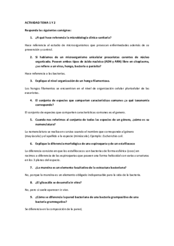 Actividad-Tema-1-y-2.pdf
