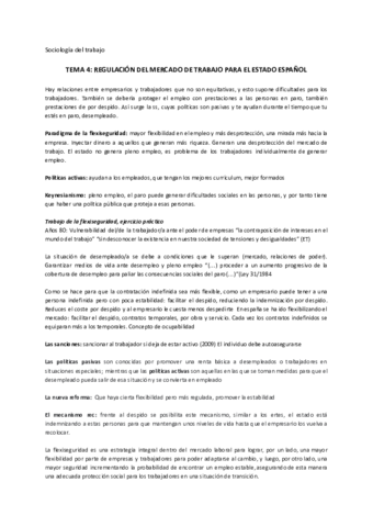 tema-4-socio.pdf