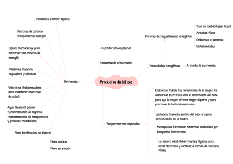 Esquema-tema-2.pdf