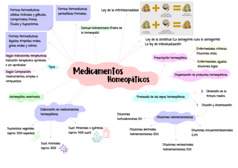 Esquema-Homeopatia.pdf