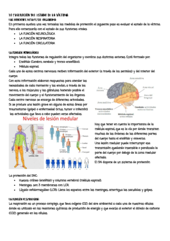 tema-2.pdf