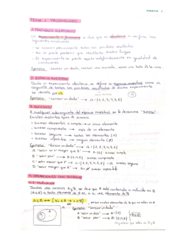 tema1-y-ejemplos-ESTADISTICA-I.pdf