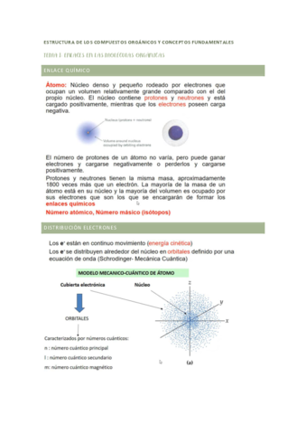 TEMAS ORGANICA.pdf