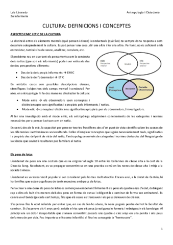 cultura-II.pdf