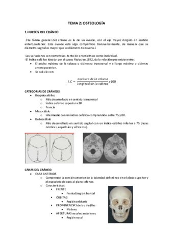 anato-2-copia.pdf