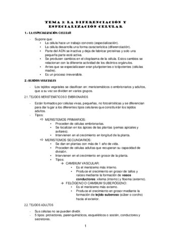 TEMA-2.pdf