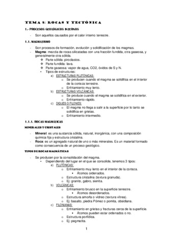 TEMA-8.pdf