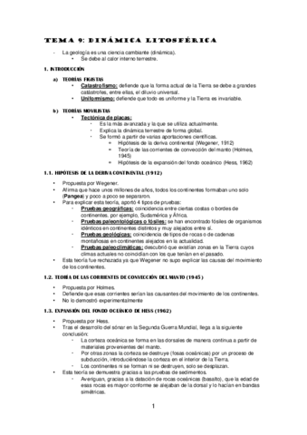 TEMA-9.pdf