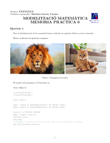 Practica0Modelizacio-1.pdf