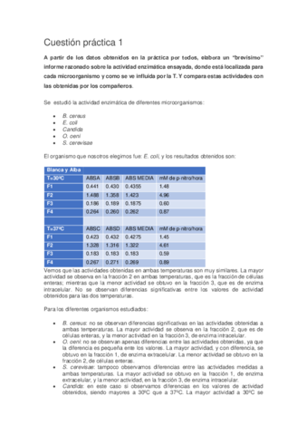 preguntas-practicas.pdf