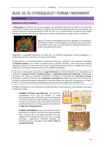 CITOLOGIA-PARTE-2.pdf