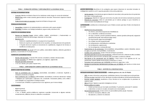 RESUMEN-FINAL-SS.pdf