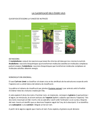 LA CLASSIFICACIÓ DELS ÈSSES VIUS