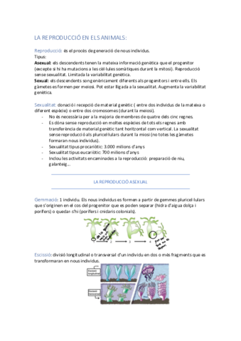 LA REPRODUCCIÓ EN ELS ANIMALS