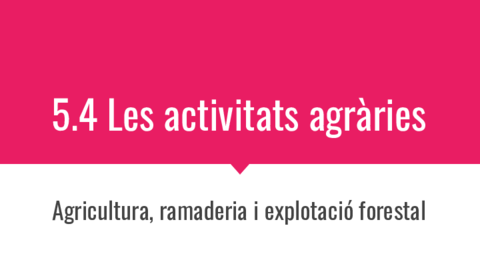 4-Les-activitats-agraries.pdf