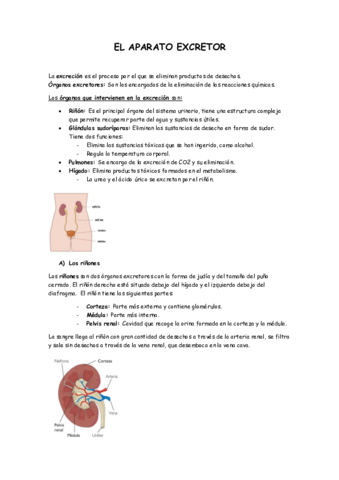 elaparatoexcretor.pdf