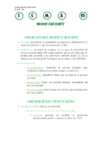 TEMA-15-PROCESAL-CIVIL.pdf