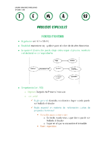TEMA-12-PROCESAL-CIVIL.pdf