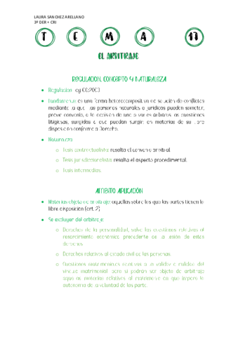 TEMA-17-PROCESAL-CIVIL.pdf