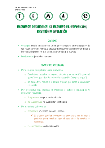 TEMA-13-PROCESAL-CIVIL.pdf
