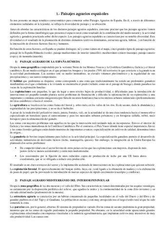 SECTORES-ECONOMICOS.pdf