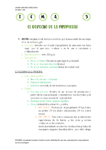 TEMA-5-Y-6-CIVIL-III.pdf