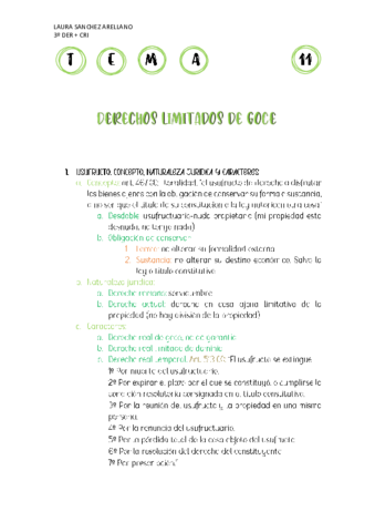 TEMA-11-CIVIL-III.pdf