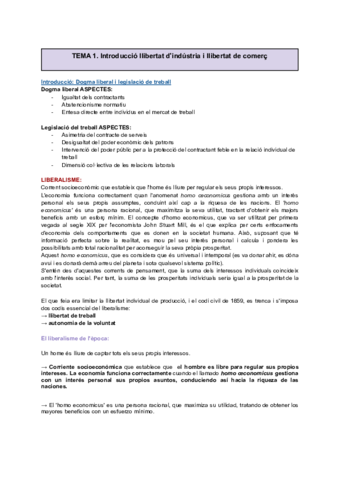 HISTORIA DEL TEMA 1 AL 5.pdf