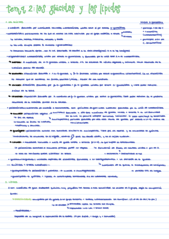 B-Tema-2-I.pdf