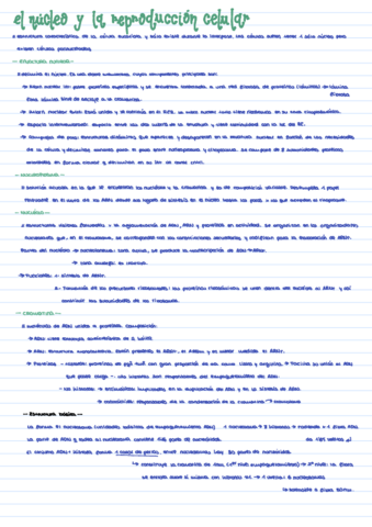 B-Tema-7-II.pdf